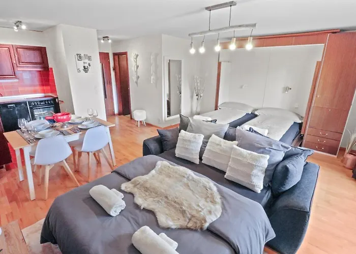 Joli Au Centre 公寓 *